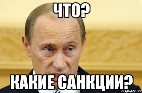 Что? Какие санкции?, Мем путин