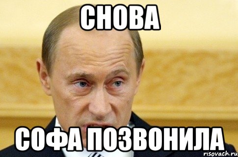 снова софа позвонила, Мем путин