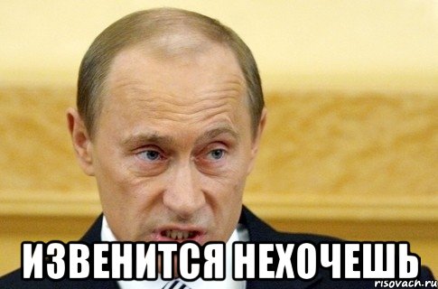  ИЗВЕНИТСЯ НЕХОЧЕШЬ, Мем путин