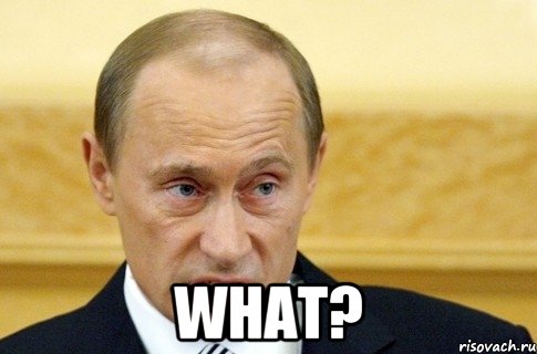  WHAT?, Мем путин