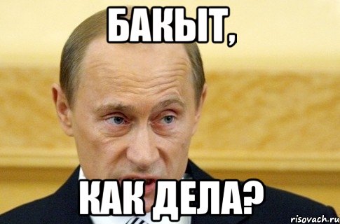 Бакыт, Как дела?, Мем путин