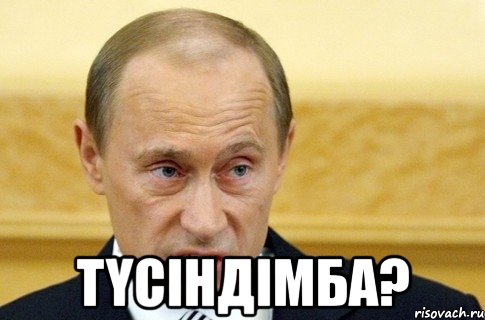  түсіндімба?, Мем путин