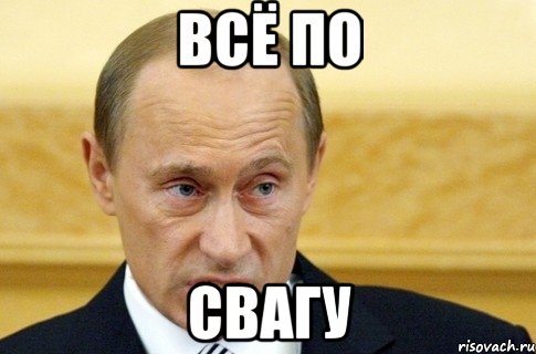 ВСЁ ПО СВАГУ, Мем путин