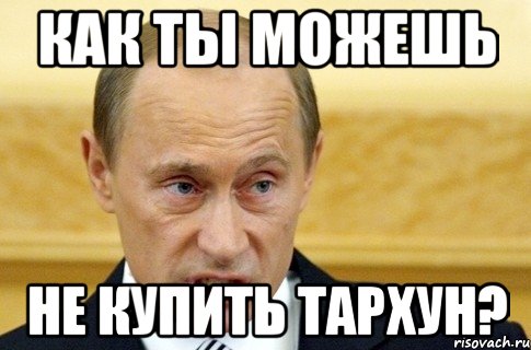 как ты можешь не купить тархун?, Мем путин