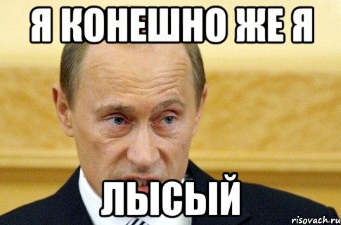 Я конешно же я лысый, Мем путин