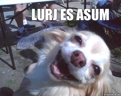 Lurj es asum