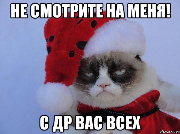 не смотрите на меня! С др вас всех, Мем   С нг кароч