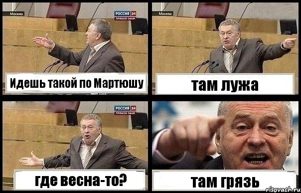 Идешь такой по Мартюшу там лужа где весна-то? там грязь, Комикс с Жириновским