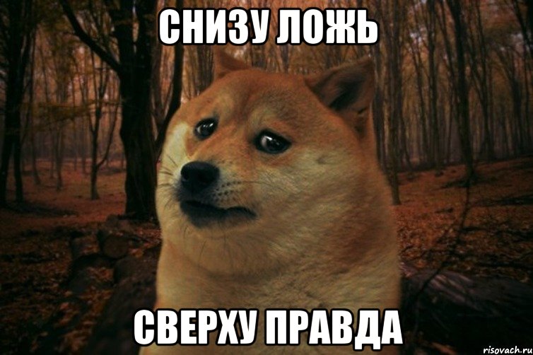 Снизу ложь Сверху правда, Мем SAD DOGE