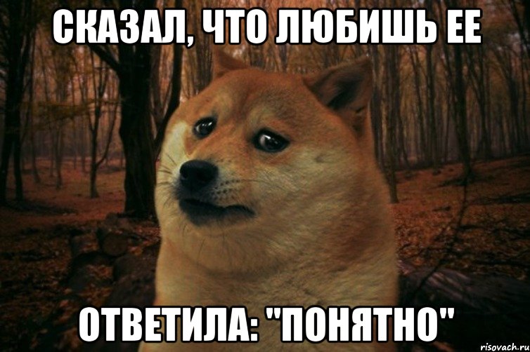 СКАЗАЛ, ЧТО ЛЮБИШЬ ЕЕ ОТВЕТИЛА: "ПОНЯТНО", Мем SAD DOGE