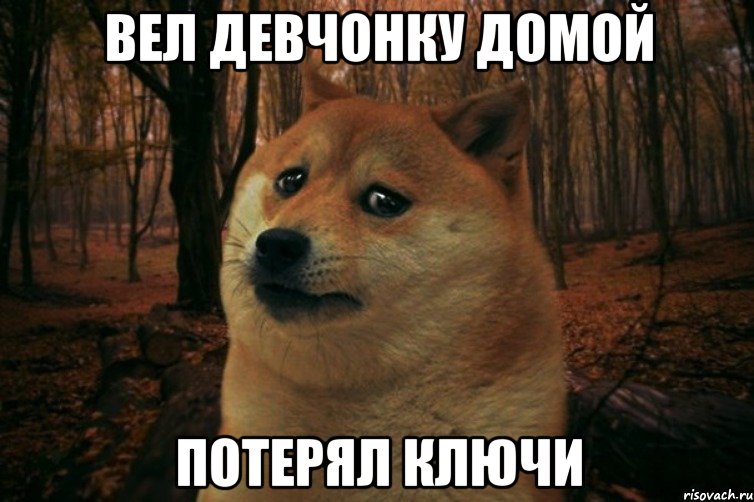 ВЕЛ ДЕВЧОНКУ ДОМОЙ ПОТЕРЯЛ КЛЮЧИ, Мем SAD DOGE