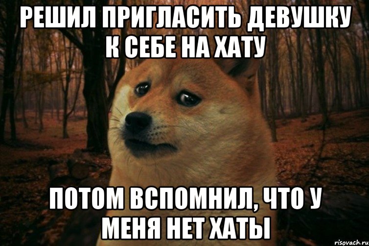 Решил пригласить девушку к себе на хату Потом вспомнил, что у меня нет хаты, Мем SAD DOGE