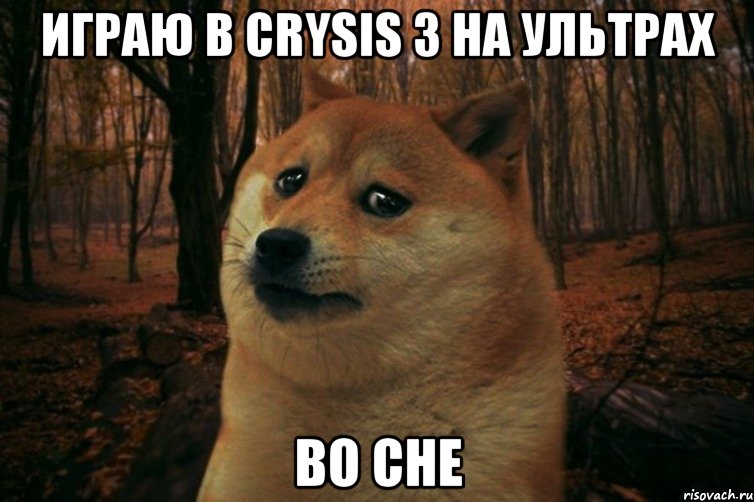 Играю в crysis 3 на ультрах во сне, Мем SAD DOGE