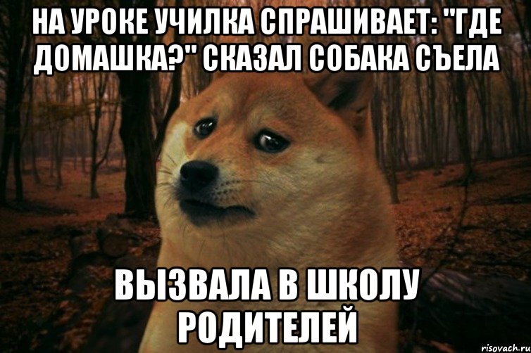 НА УРОКЕ УЧИЛКА СПРАШИВАЕТ: "ГДЕ ДОМАШКА?" СКАЗАЛ СОБАКА СЪЕЛА ВЫ3ВАЛА В ШКОЛУ РОДИТЕЛЕЙ, Мем SAD DOGE