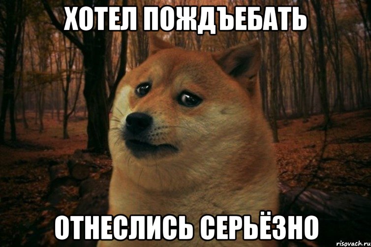 ХОТЕЛ ПОЖДЪЕБАТЬ ОТНЕСЛИСЬ СЕРЬЁЗНО, Мем SAD DOGE