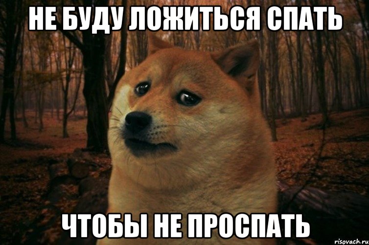 не буду ложиться спать чтобы не проспать, Мем SAD DOGE