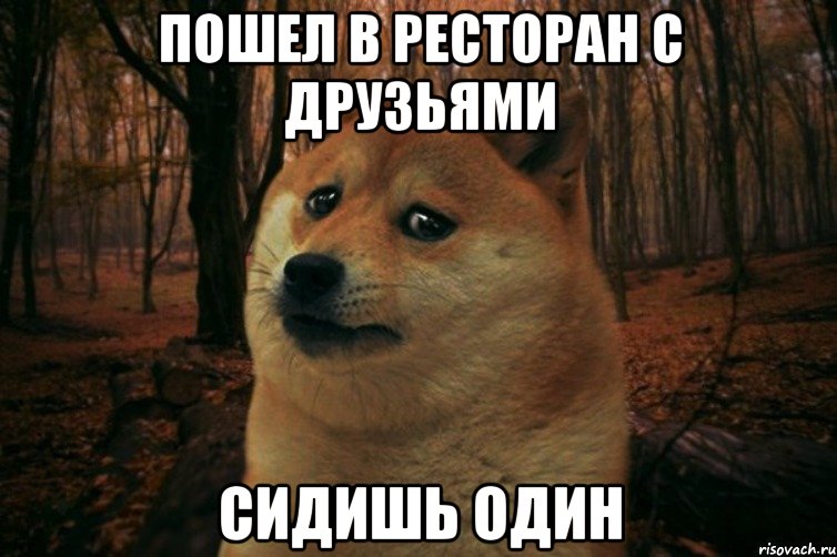 пошел в ресторан с друзьями сидишь один, Мем SAD DOGE