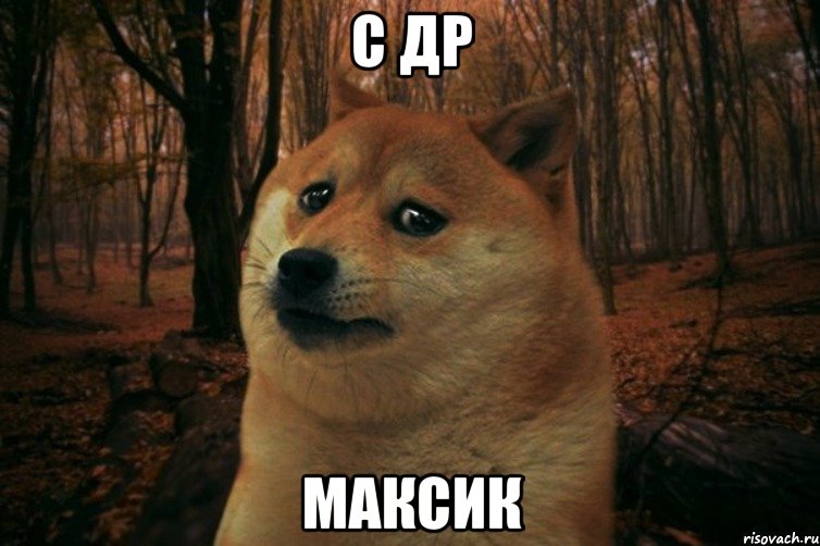 с др максик, Мем SAD DOGE