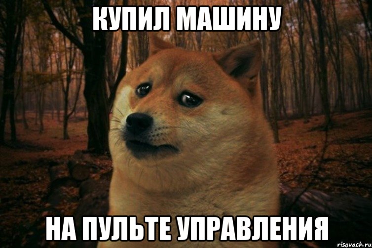 купил машину на пульте управления, Мем SAD DOGE