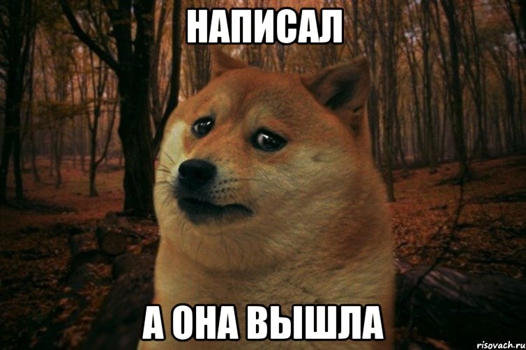 написал а она вышла, Мем SAD DOGE