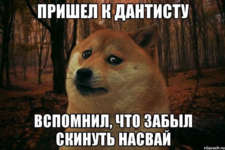 Пришел к дантисту Вспомнил, что забыл скинуть насвай, Мем SAD DOGE