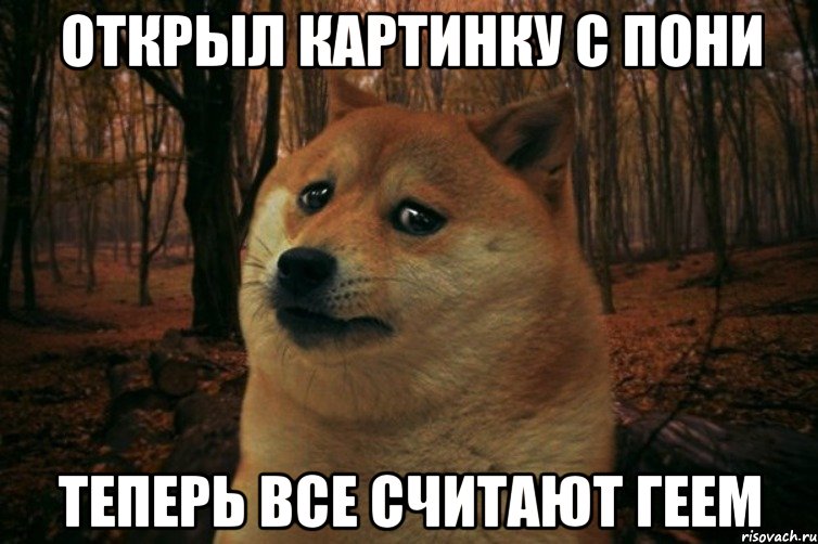 ОТКРЫЛ КАРТИНКУ С ПОНИ ТЕПЕРЬ ВСЕ СЧИТАЮТ ГЕЕМ, Мем SAD DOGE