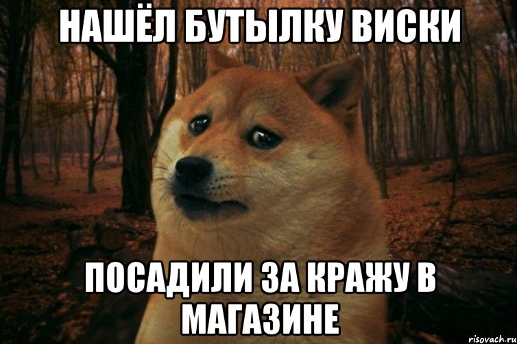 Нашёл бутылку виски Посадили за кражу в магазине, Мем SAD DOGE