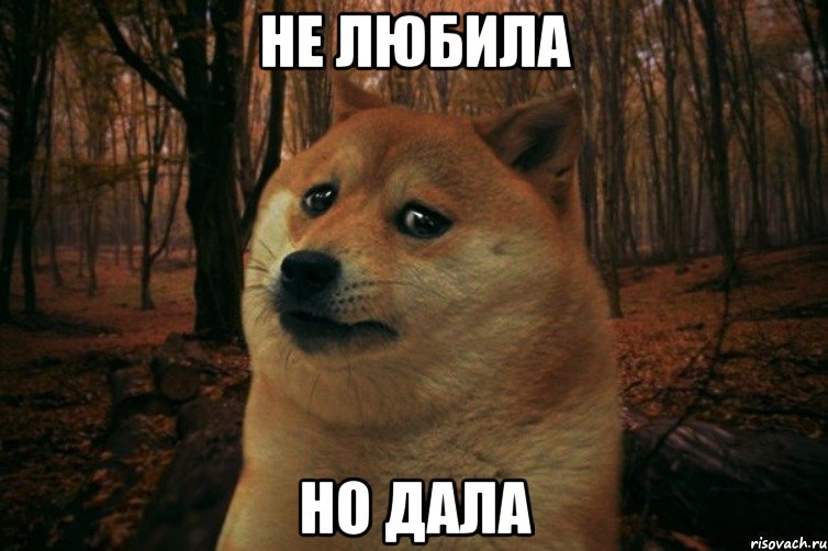 не любила но дала, Мем SAD DOGE