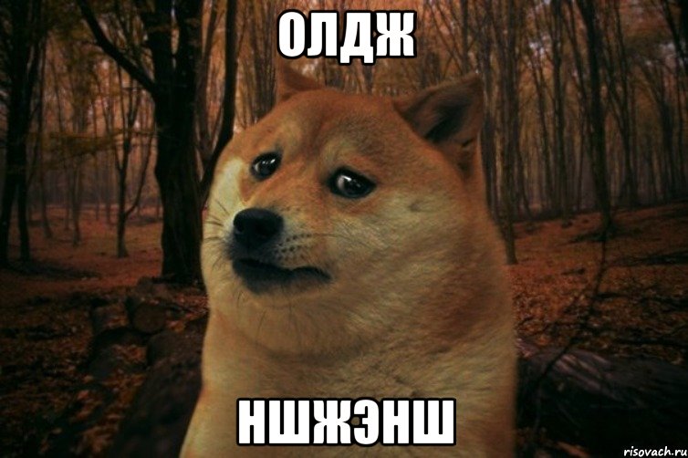 олдж ншжэнш, Мем SAD DOGE