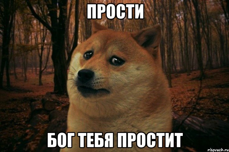 прости Бог тебя простит, Мем SAD DOGE