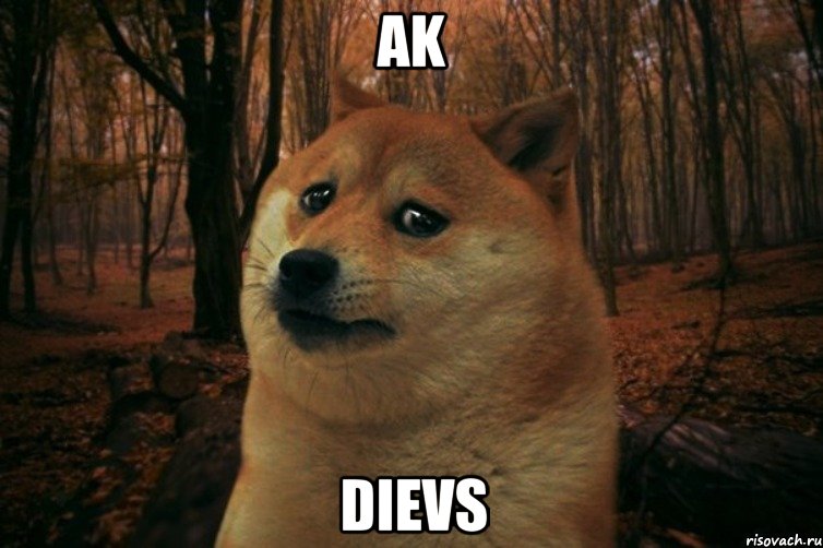 AK DIEVS