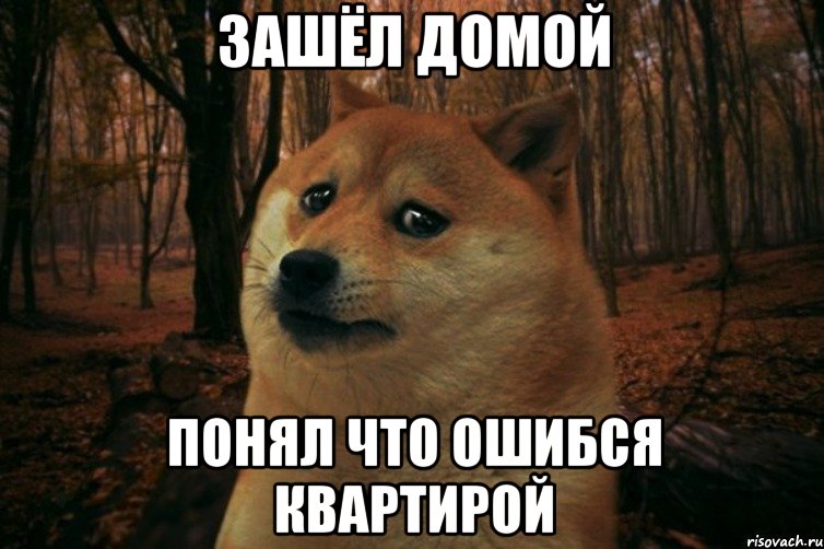 Зашёл домой Понял что ошибся квартирой, Мем SAD DOGE