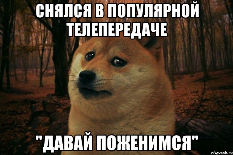 снялся в популярной телепередаче "давай поженимся", Мем SAD DOGE