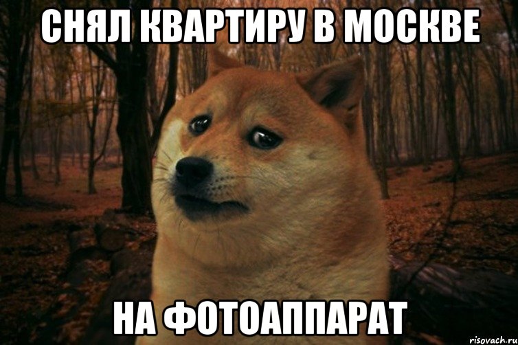 снял квартиру в москве на фотоаппарат, Мем SAD DOGE