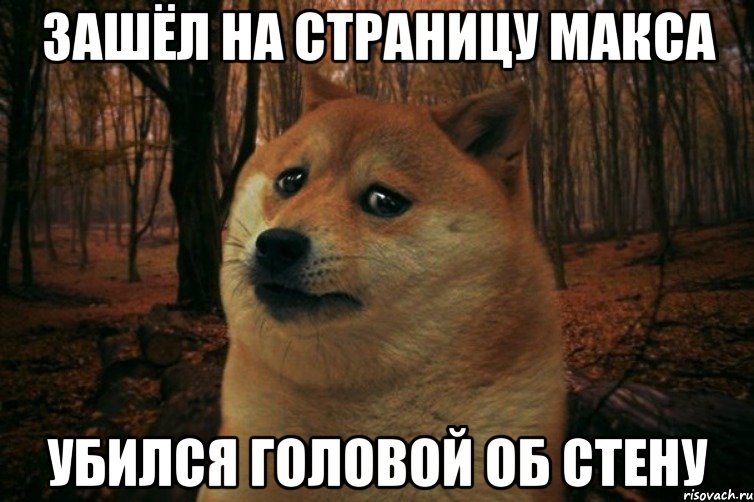 Зашёл на страницу Макса Убился головой об стену, Мем SAD DOGE