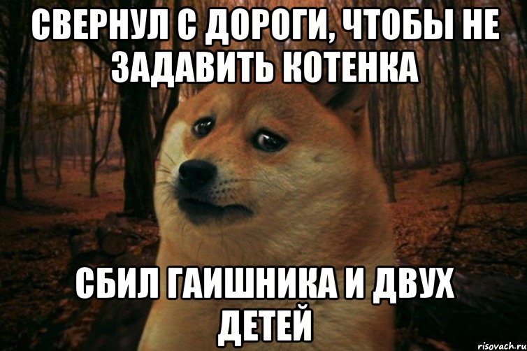 свернул с дороги, чтобы не задавить котенка сбил гаишника и двух детей