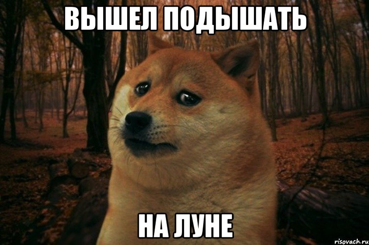 вышел подышать на луне, Мем SAD DOGE