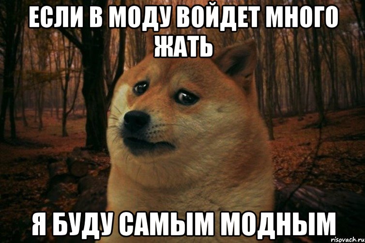 если в моду войдет много жать я буду самым модным, Мем SAD DOGE