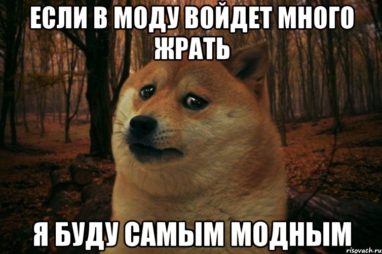 если в моду войдет много жрать я буду самым модным, Мем SAD DOGE