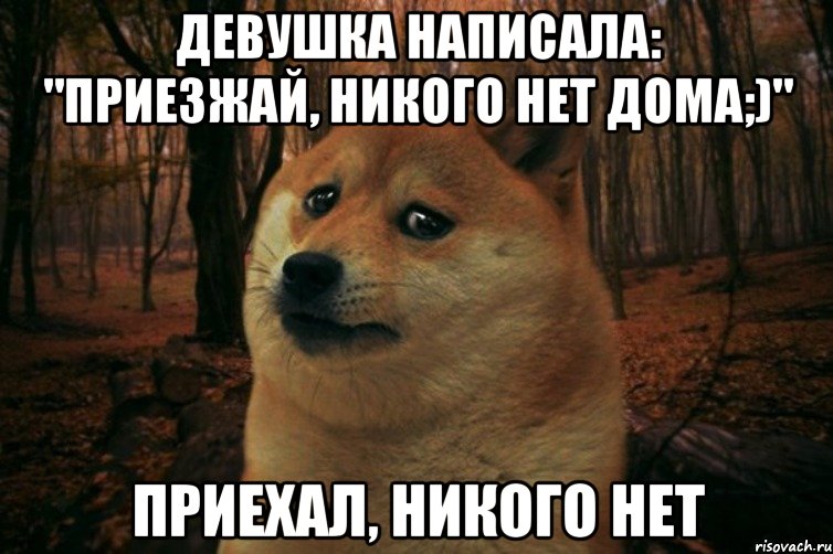 девушка написала: "приезжай, никого нет дома;)" приехал, никого нет, Мем SAD DOGE