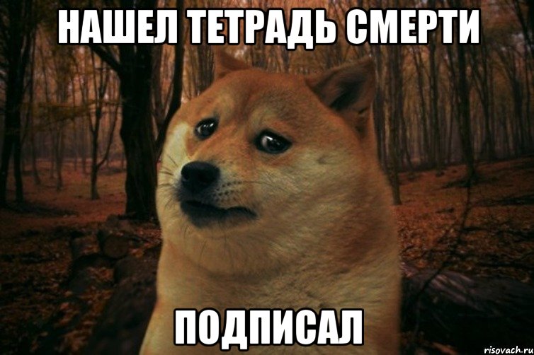 нашел тетрадь смерти подписал, Мем SAD DOGE