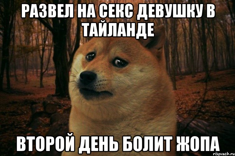 развел на секс девушку в тайланде второй день болит жопа, Мем SAD DOGE