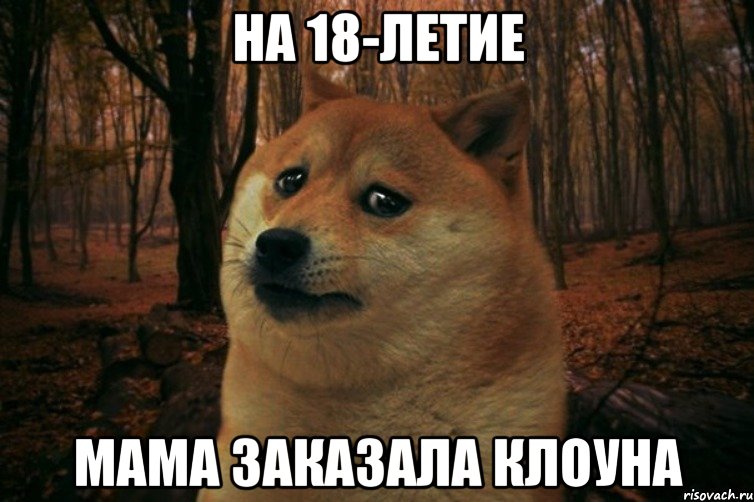 на 18-летие мама заказала клоуна, Мем SAD DOGE