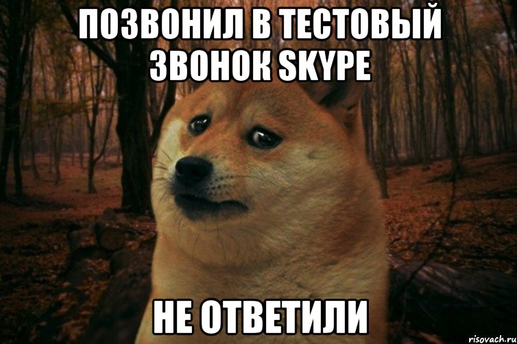 позвонил в тестовый звонок Skype не ответили, Мем SAD DOGE