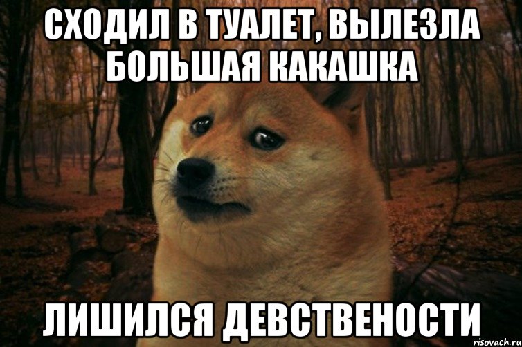 сходил в туалет, вылезла большая какашка лишился девствености, Мем SAD DOGE