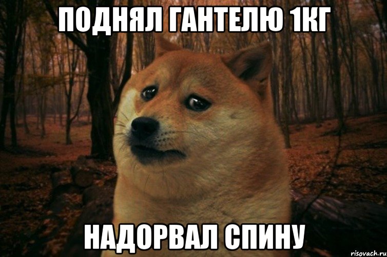 поднял гантелю 1кг надорвал спину, Мем SAD DOGE