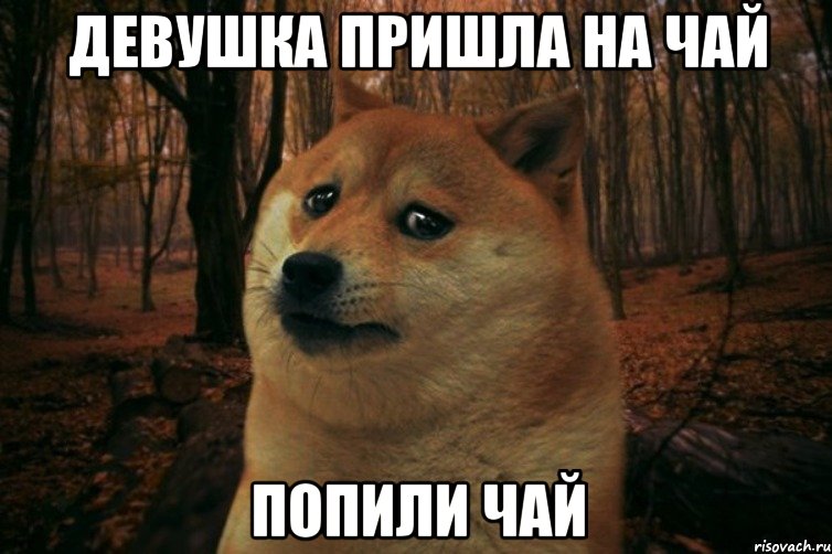 девушка пришла на чай попили чай, Мем SAD DOGE