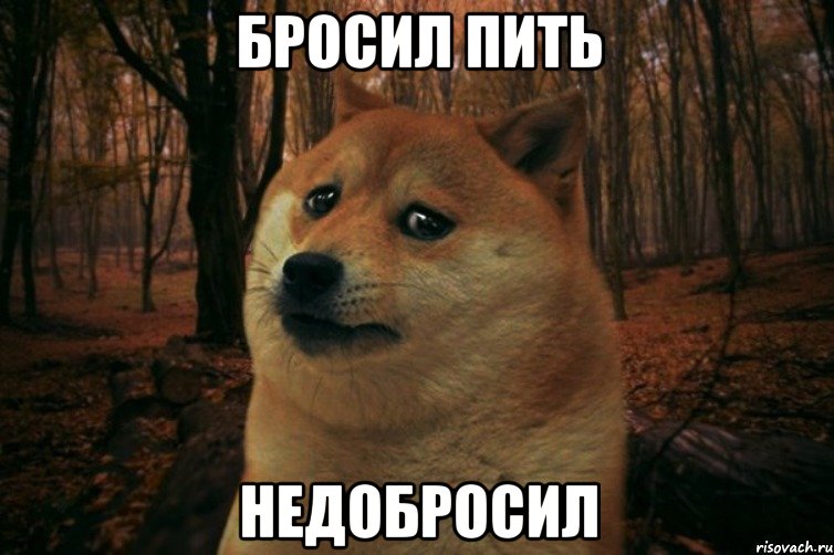 бросил пить недобросил, Мем SAD DOGE