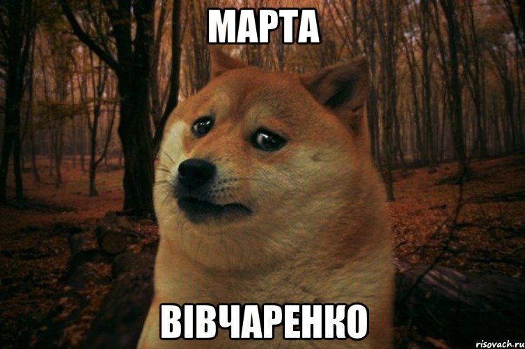 марта вівчаренко, Мем SAD DOGE