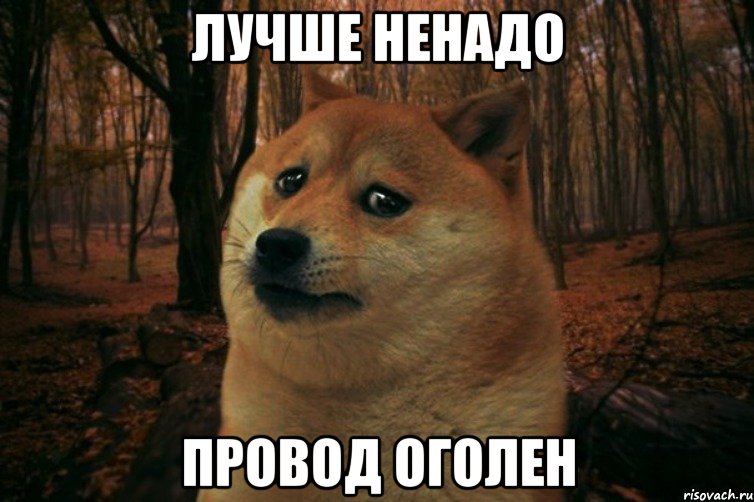 лучше ненадо провод оголен, Мем SAD DOGE